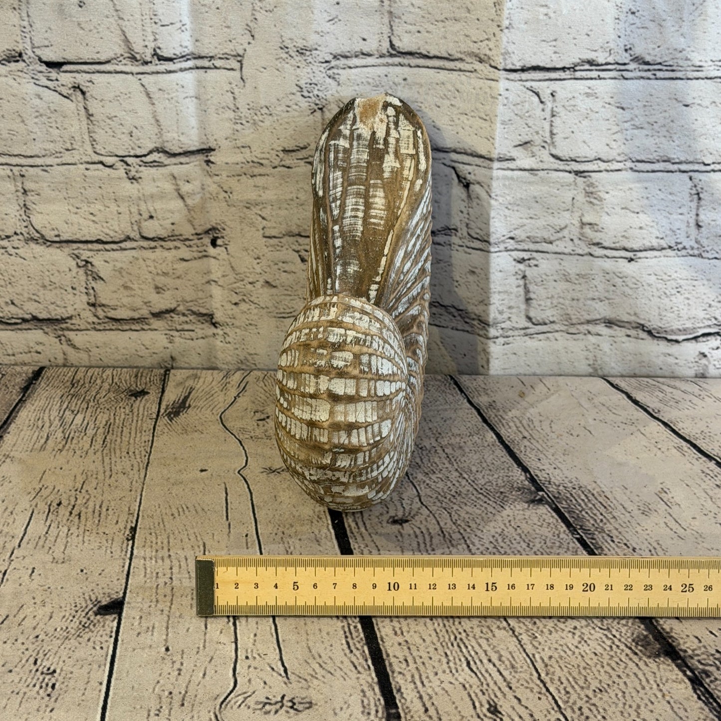 25cm Brown Shabby Pastel Nautilus Shell Ornament Decor Carved Light Wood Figure8