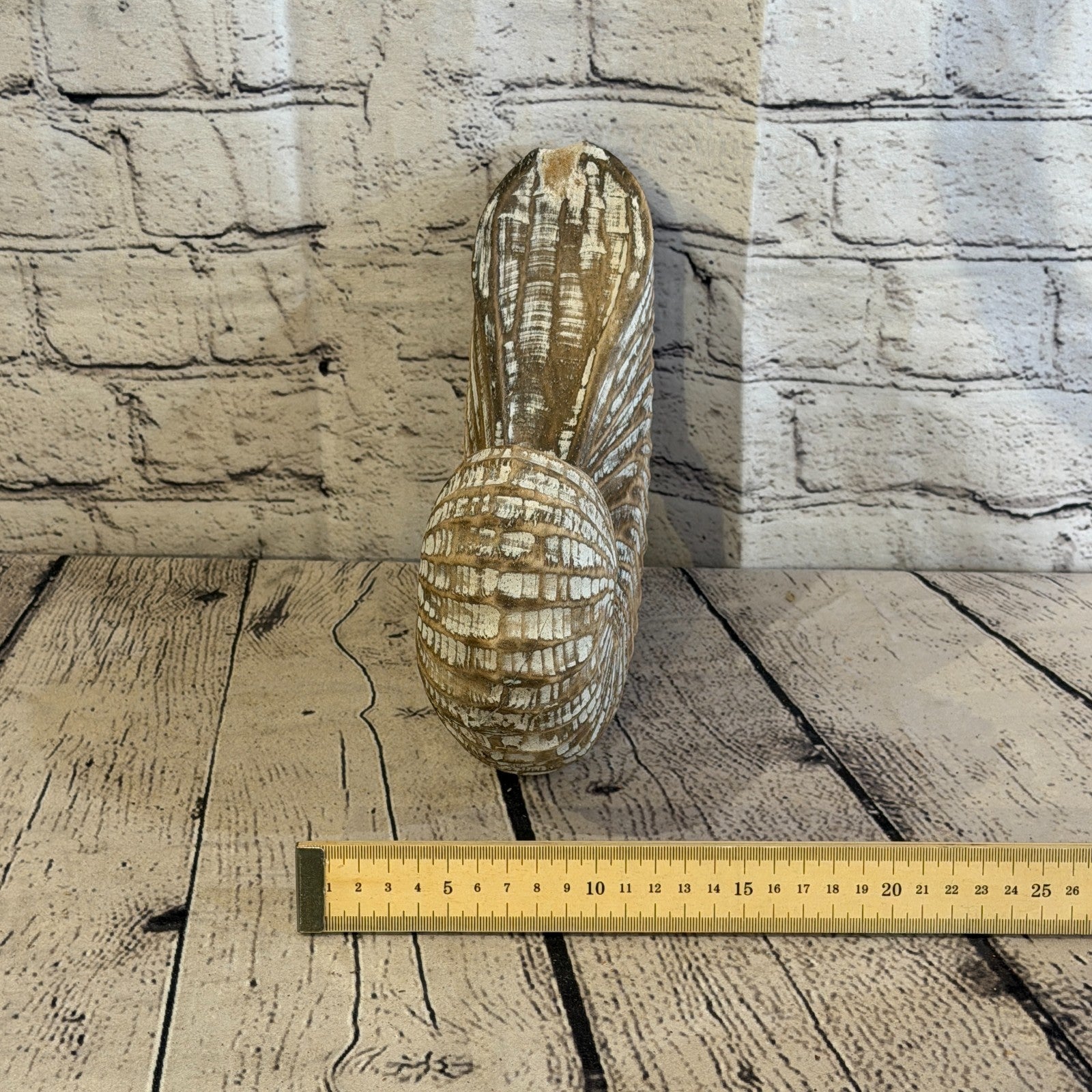 25cm Brown Shabby Pastel Nautilus Shell Ornament Decor Carved Light Wood Figure8