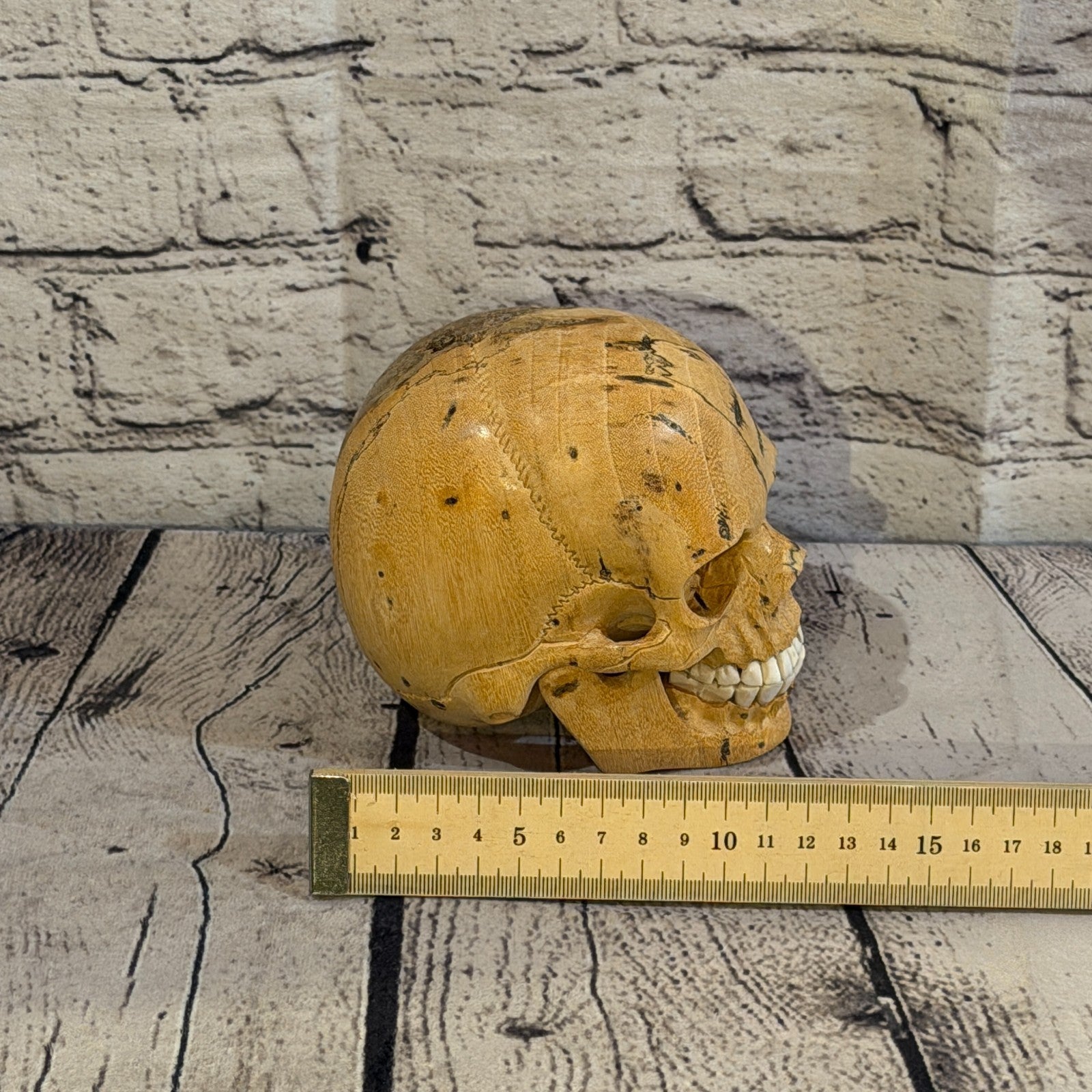 12cm x 12cm Realistic Human Skull Tamarind Wood Replica Moving Jaw Skeleton Head6