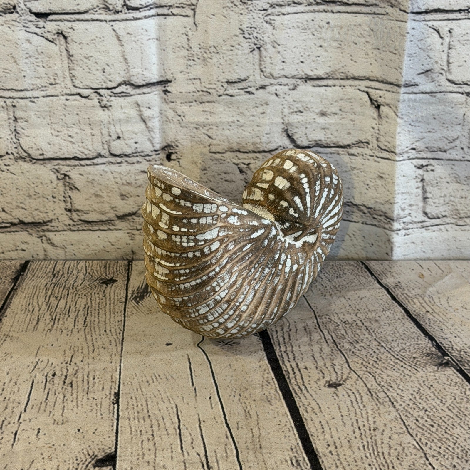 20cm Brown Shabby Pastel Nautilus Shell Ornament Decor Carved Light Wood Figure4