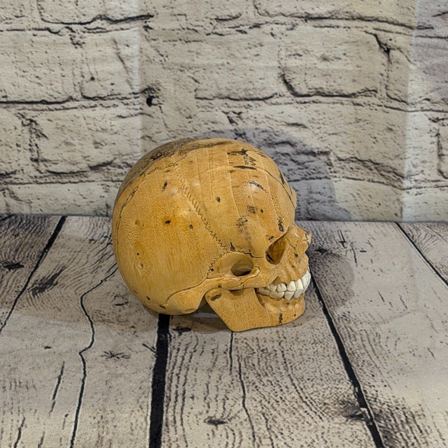 12cm x 12cm Realistic Human Skull Tamarind Wood Replica Moving Jaw Skeleton Head3