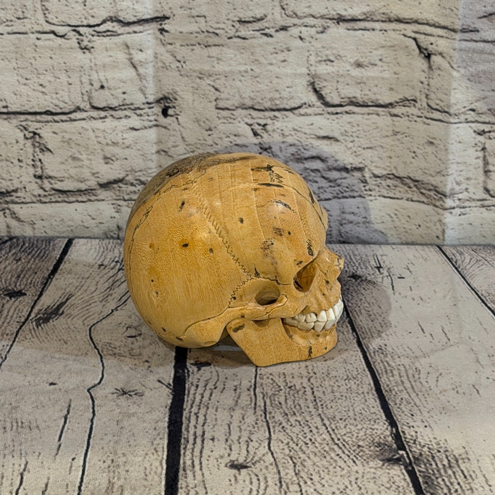 12cm x 12cm Realistic Human Skull Tamarind Wood Replica Moving Jaw Skeleton Head3
