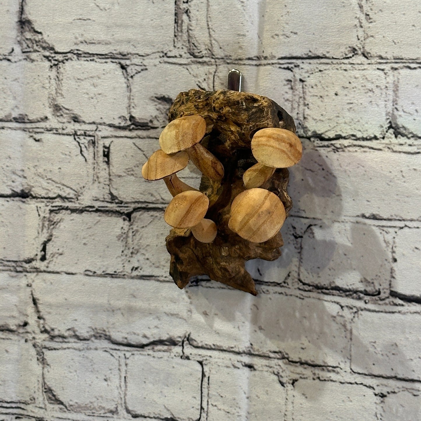 Button Mushrooms Wall Art Mushroom Parasite Wood Ornament Natural Carving Wooden1