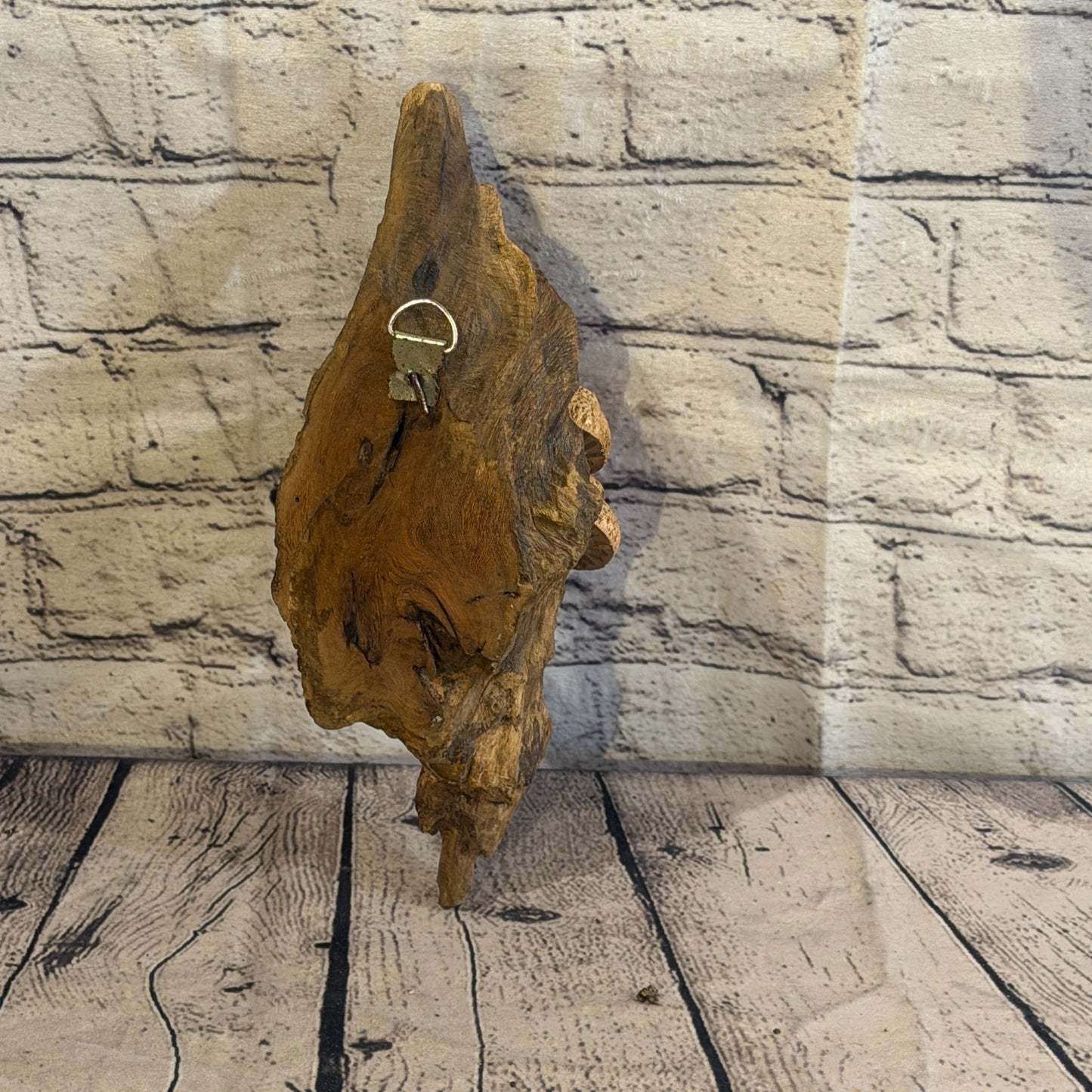 20cm Dimple Top Wall Art Mushroom Parasite Wood Ornament Natural Carving Wooden6