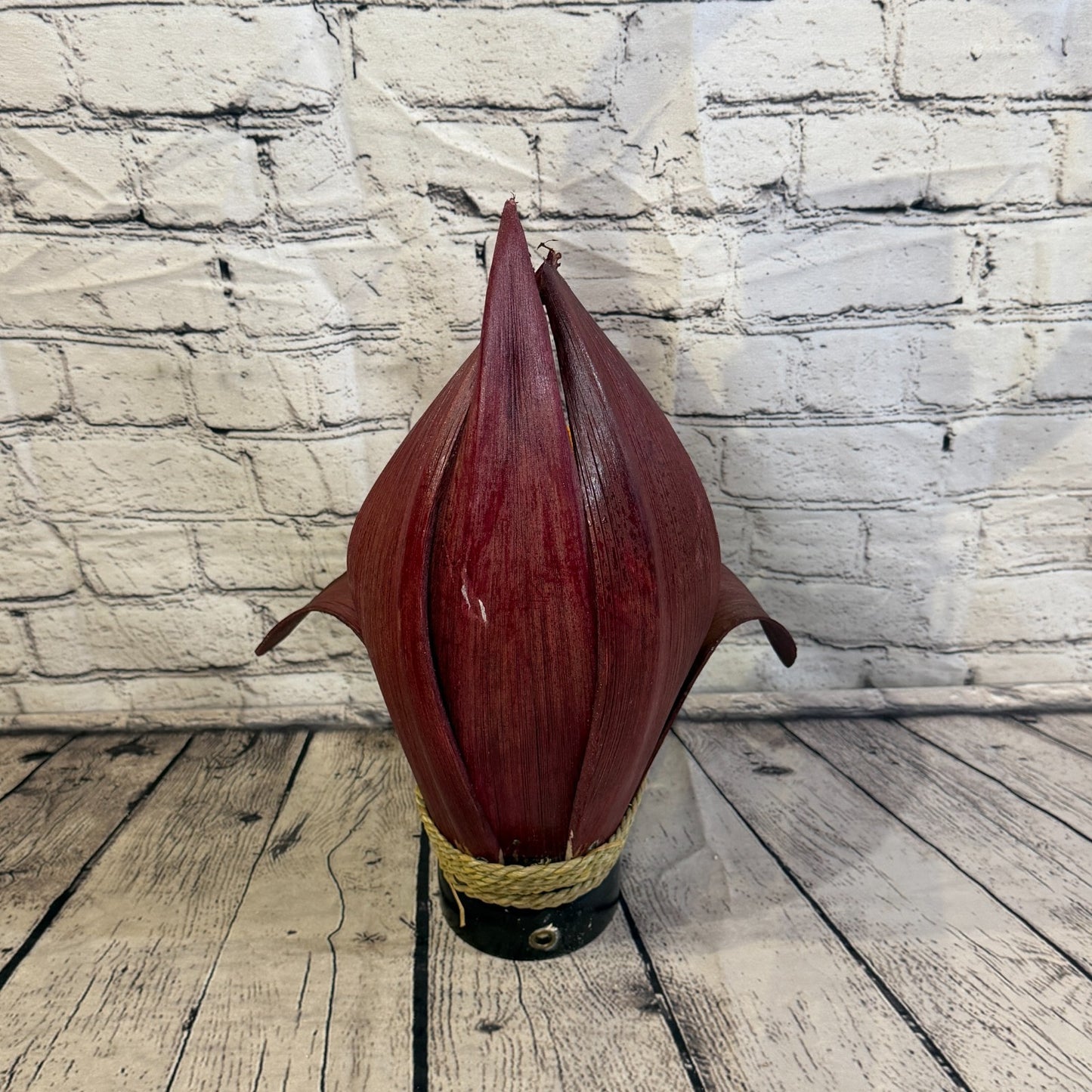 Orange Light Red Natural 40cm Tall Leaf Lamp Twist LED UK Mains Plug Design 54