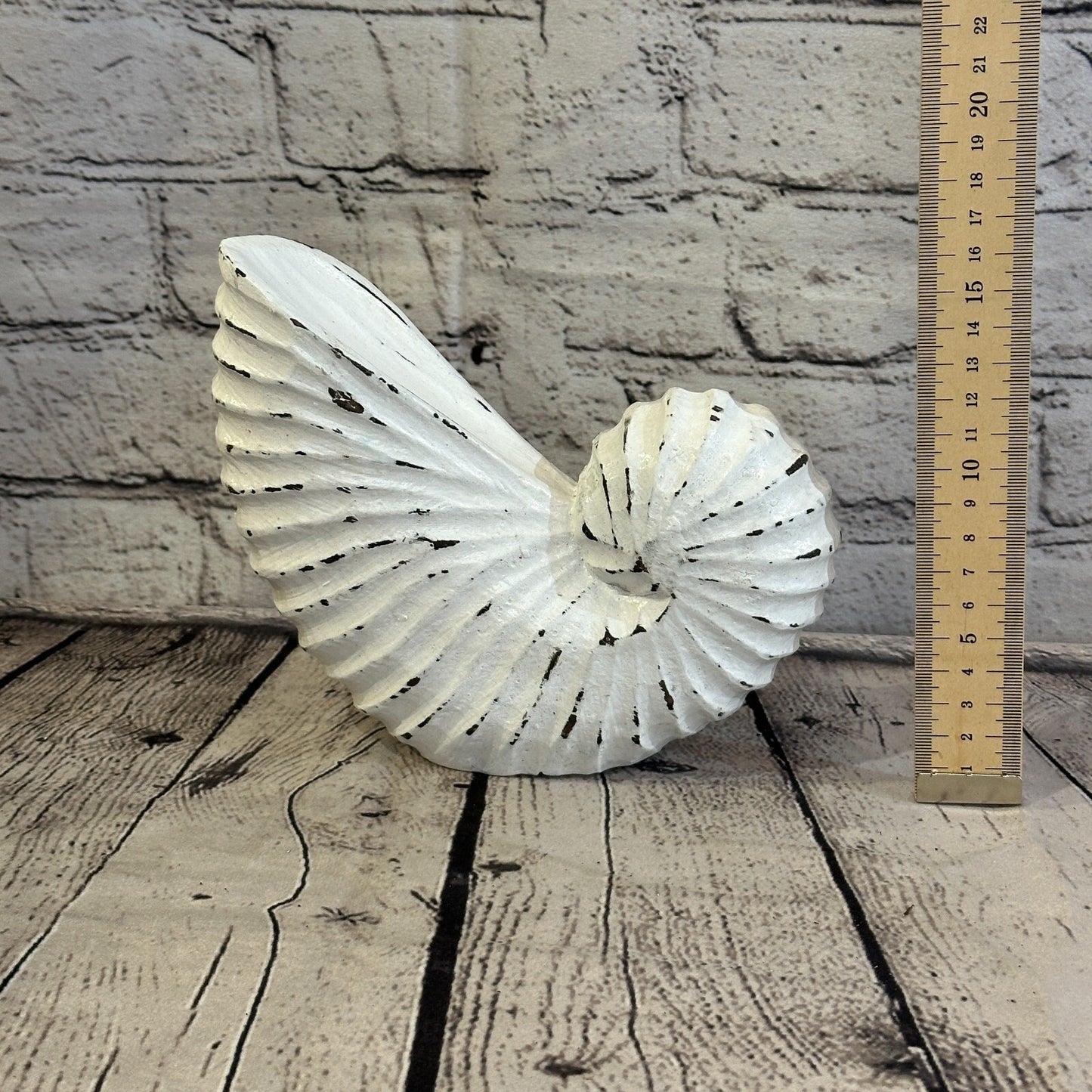 18cm White Shabby Nautilus Shell Ornament Decor Carved Light Wood Parcel Figure6