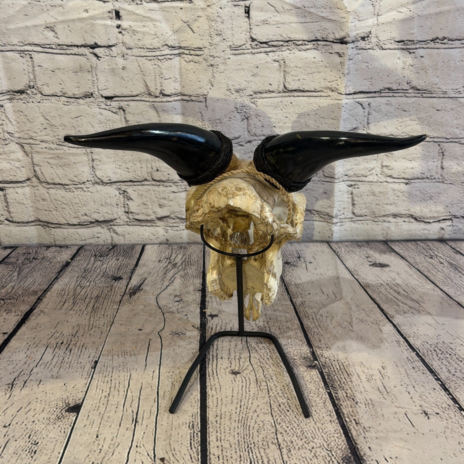 30cm Carved Buffalo Ram Wild Replica Skulls Wall Hanging Carved Stand Design 610