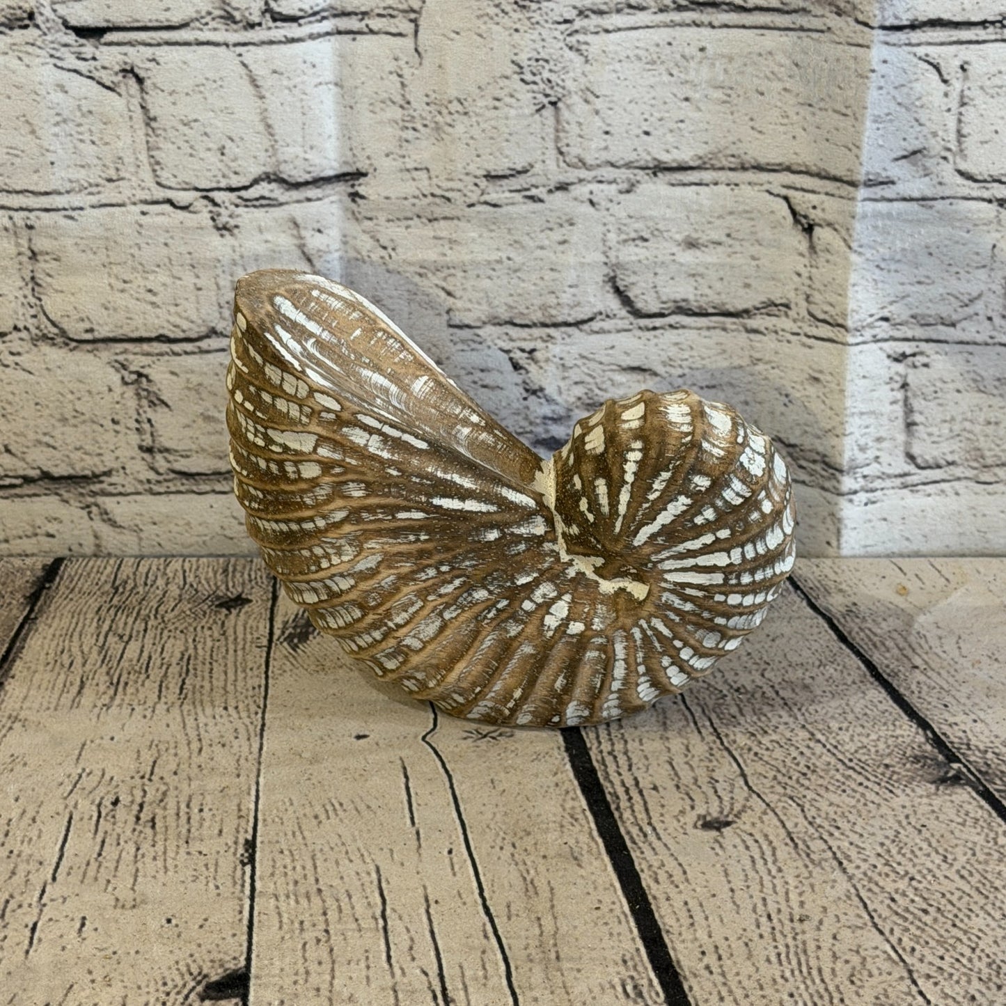 20cm Brown Shabby Pastel Nautilus Shell Ornament Decor Carved Light Wood Figure3