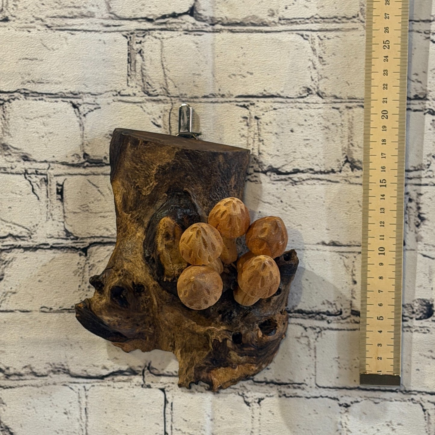 20cm Cut Out Top Wall Art Mushroom Parasite Wood Ornament Natural Carving Wooden4