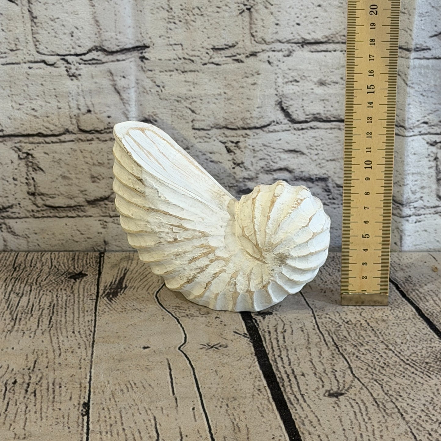 15cm White Shabby Pastel Nautilus Shell Ornament Decor Carved Light Wood Figure5