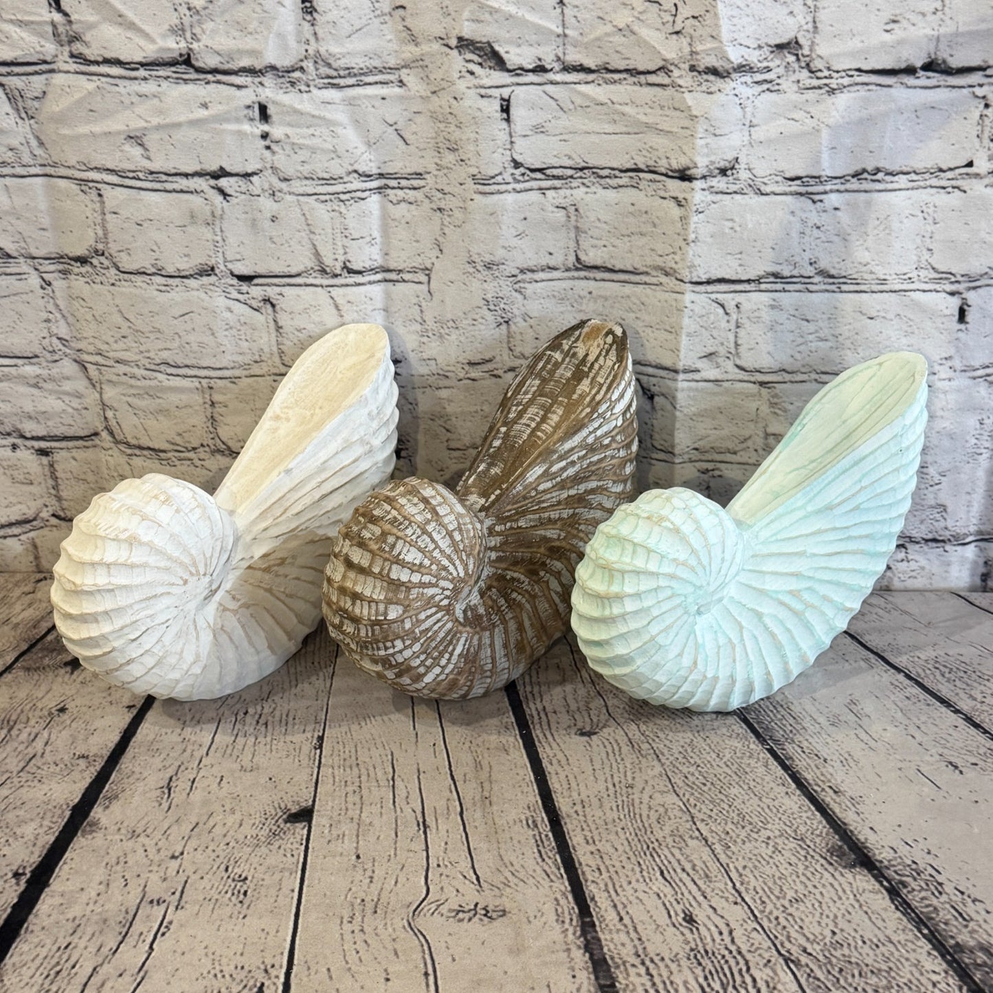 15cm Brown Shabby Pastel Nautilus Shell Ornament Decor Carved Light Wood Figure9