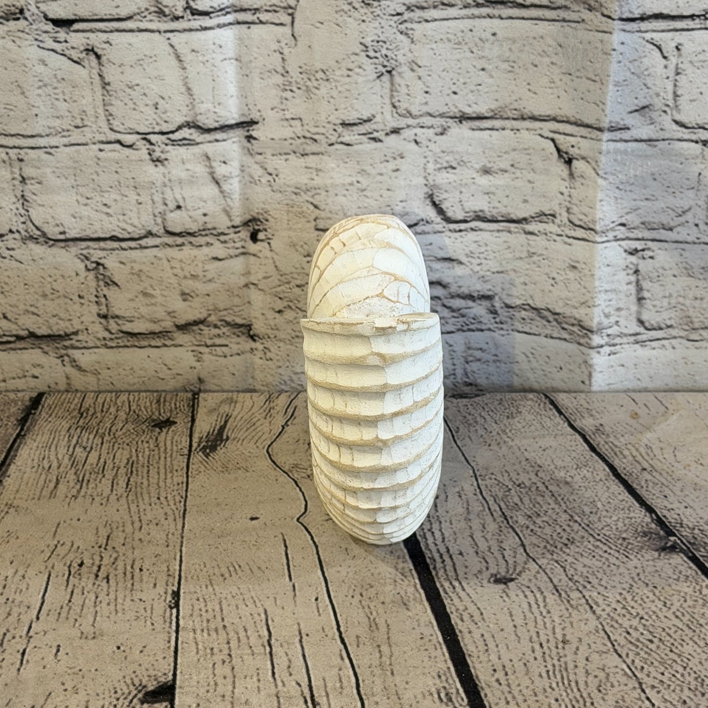 20cm White Shabby Pastel Nautilus Shell Ornament Decor Carved Light Wood Figure4