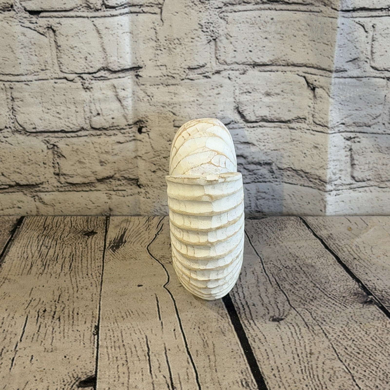 20cm White Shabby Pastel Nautilus Shell Ornament Decor Carved Light Wood Figure4