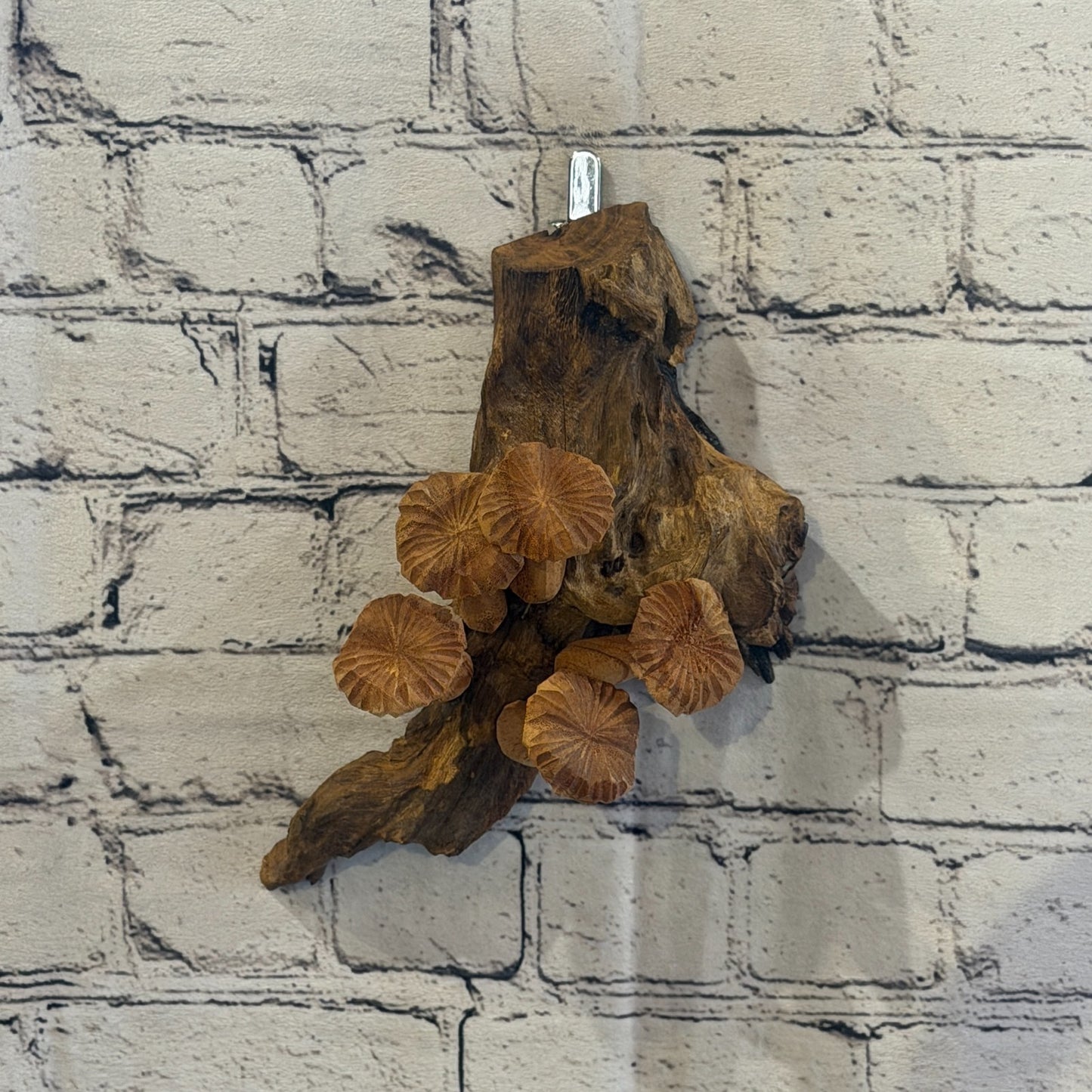 20cm Flat Top Wall Art Mushroom Parasite Wood Ornament Natural Carving Wooden3