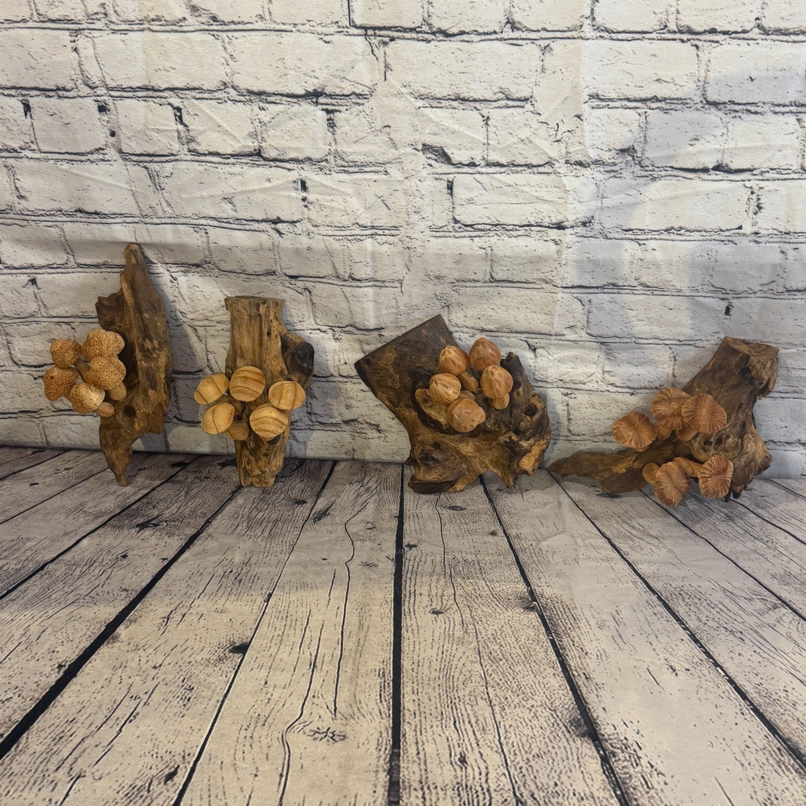 20cm Dimple Top Wall Art Mushroom Parasite Wood Ornament Natural Carving Wooden7