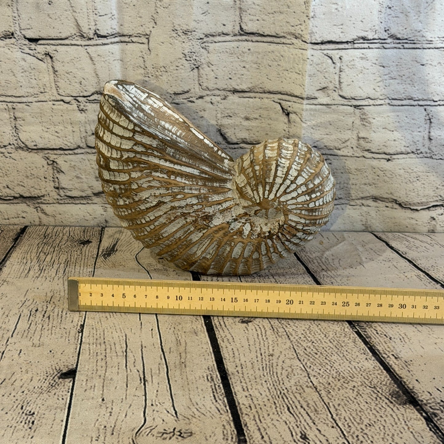 25cm Brown Shabby Pastel Nautilus Shell Ornament Decor Carved Light Wood Figure7