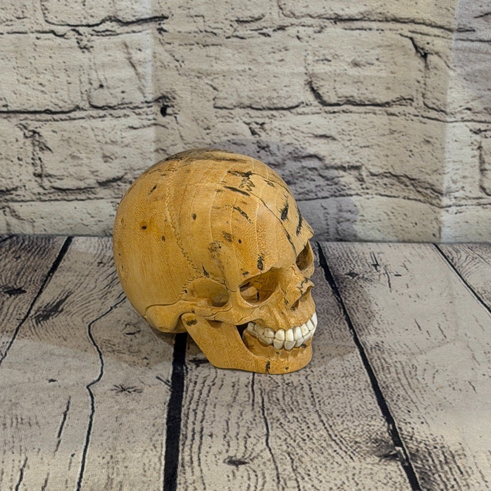 12cm x 12cm Realistic Human Skull Tamarind Wood Replica Moving Jaw Skeleton Head2