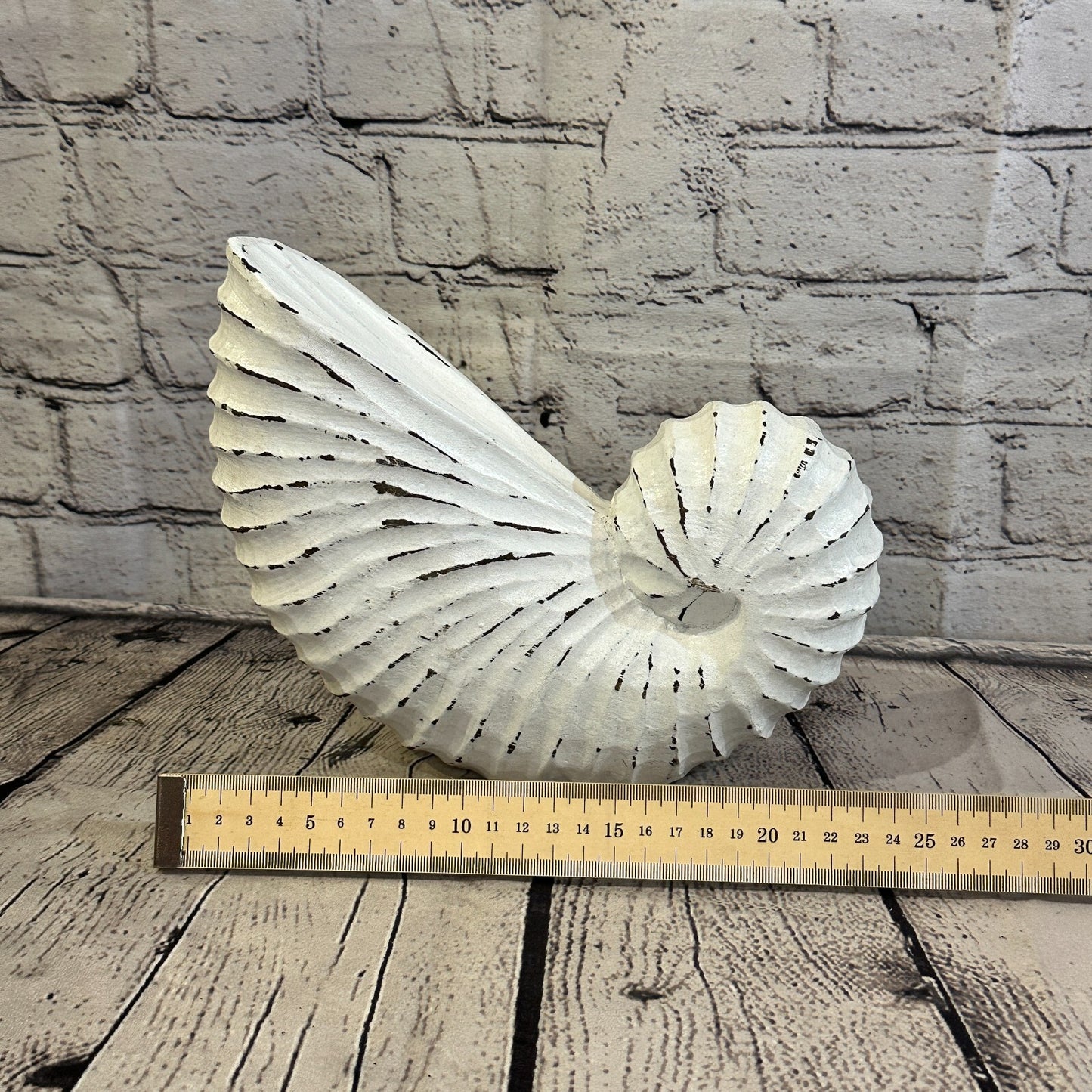 25cm White Shabby Nautilus Shell Ornament Decor Carved Light Wood Parcel Figure7