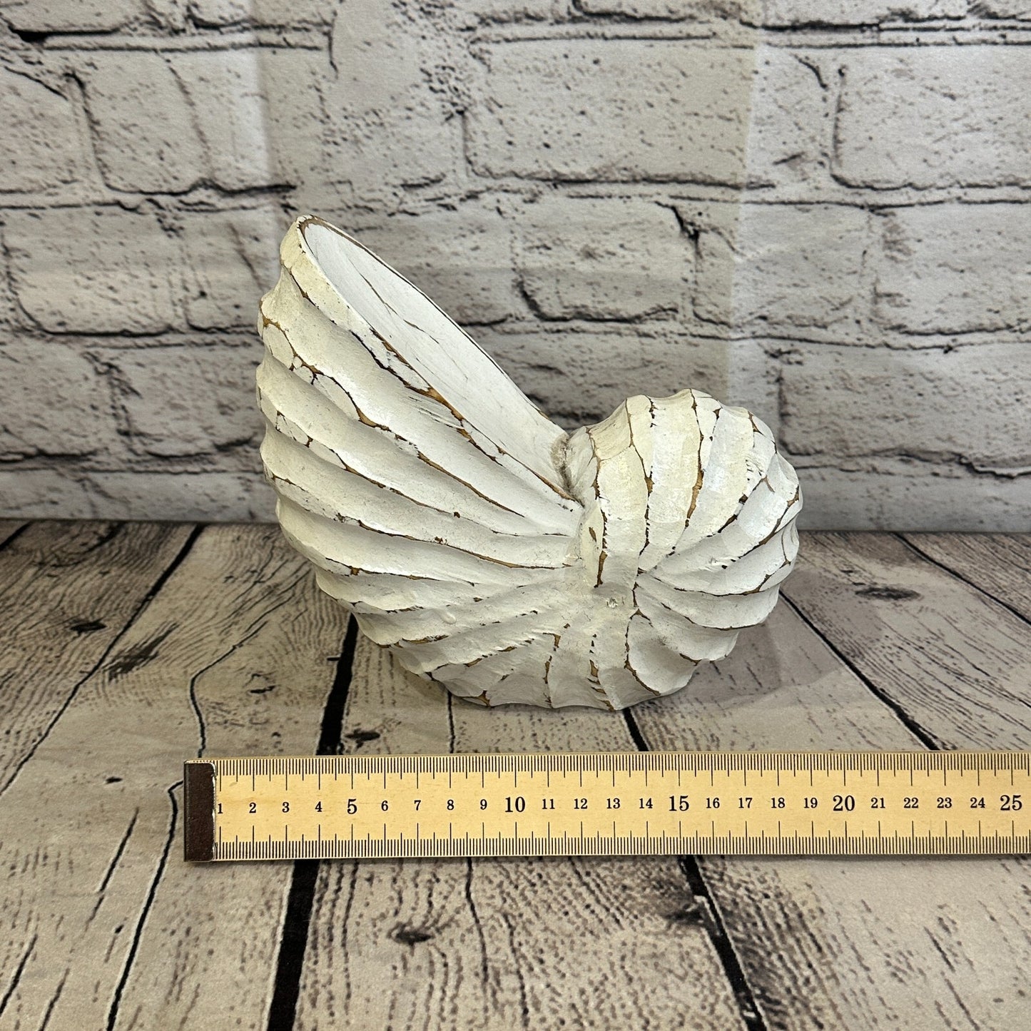 18cm White Polish Nautilus Shell Ornament Decor Carved Light Wood Parcel Figure