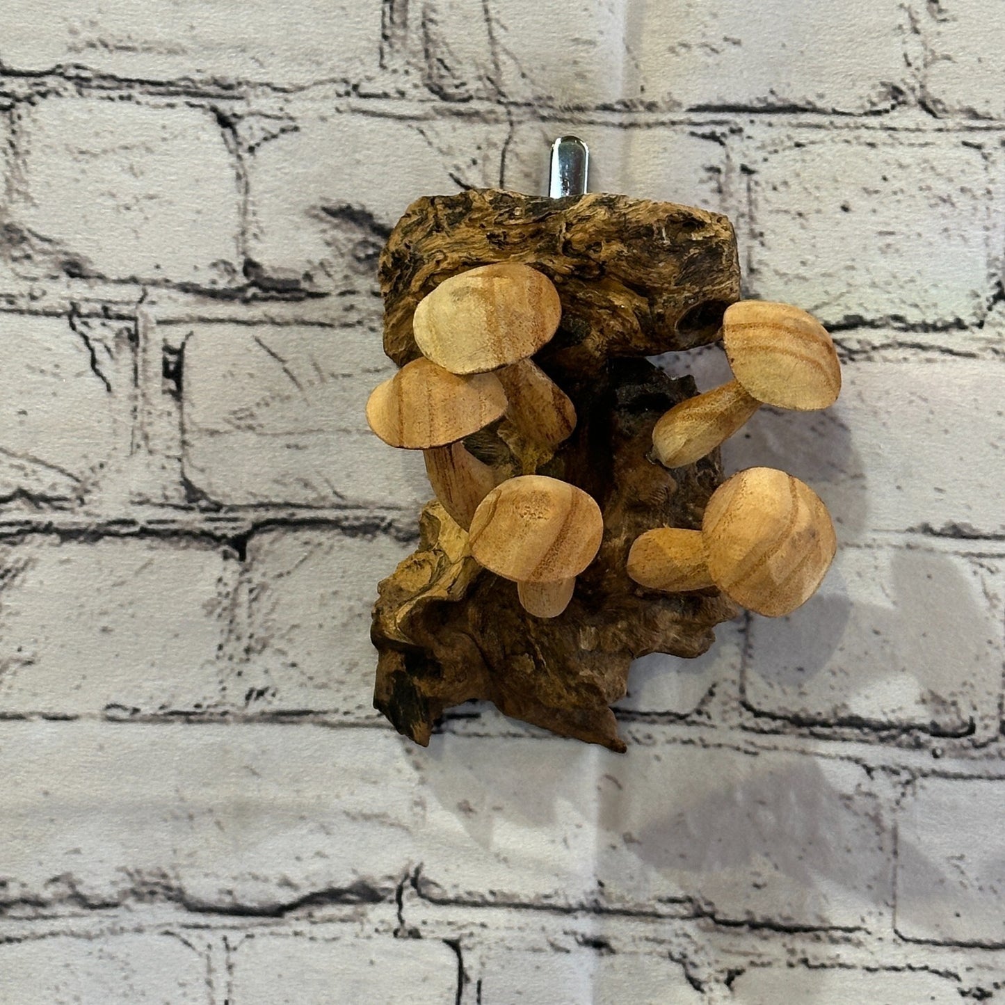 Button Mushrooms Wall Art Mushroom Parasite Wood Ornament Natural Carving Wooden