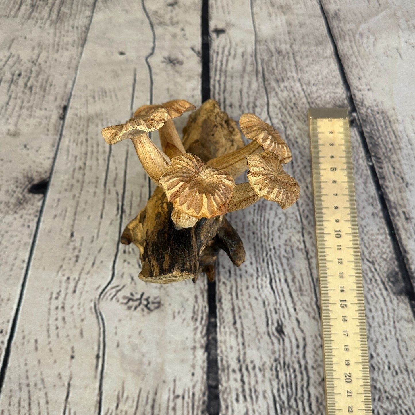 Carved Mushrooms Wall Art Mushroom Parasite Wood Ornament Natural Carving Wooden