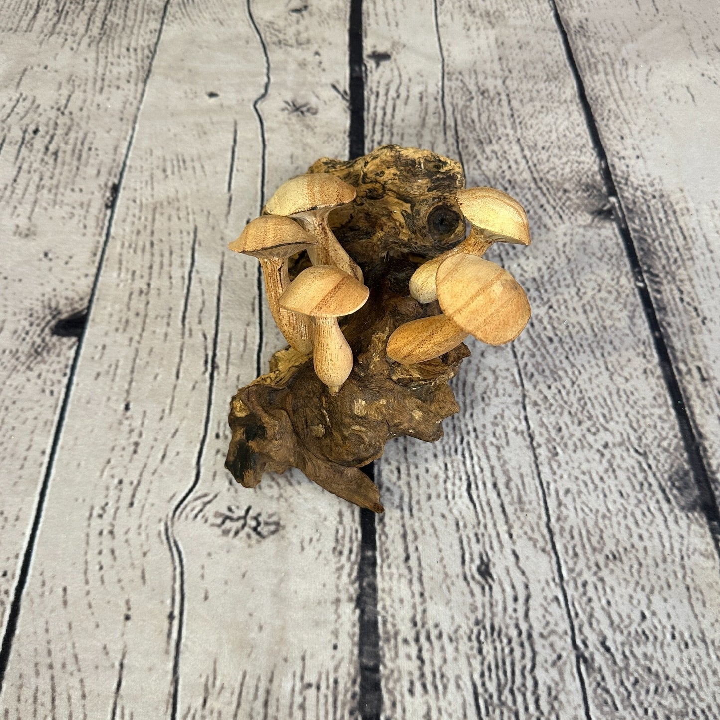 Button Mushrooms Wall Art Mushroom Parasite Wood Ornament Natural Carving Wooden