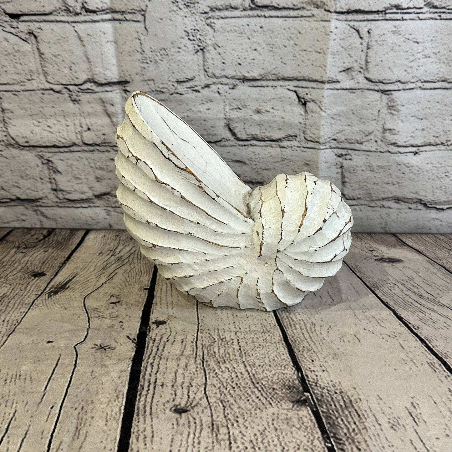 18cm White Polish Nautilus Shell Ornament Decor Carved Light Wood Parcel Figure