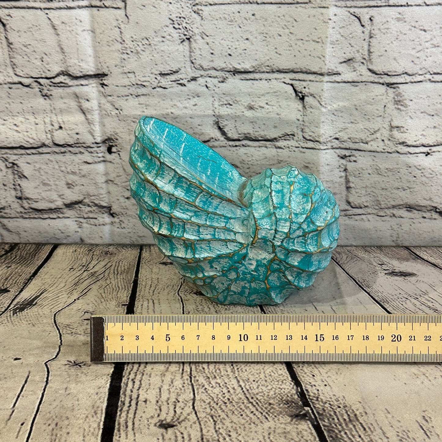 15cm Green Polish Nautilus Shell Ornament Decor Carved Light Wood Parcel Figure