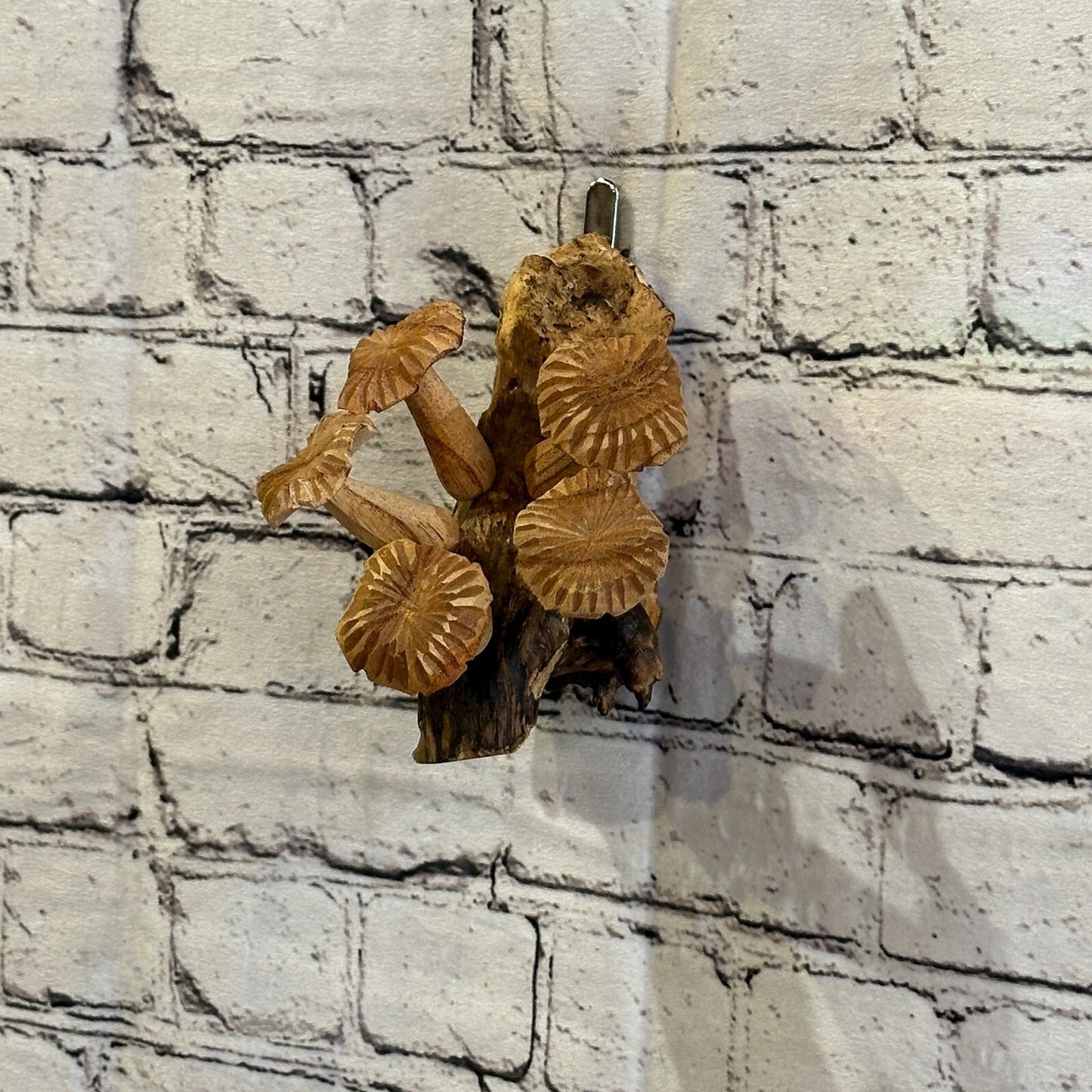 Carved Mushrooms Wall Art Mushroom Parasite Wood Ornament Natural Carving Wooden