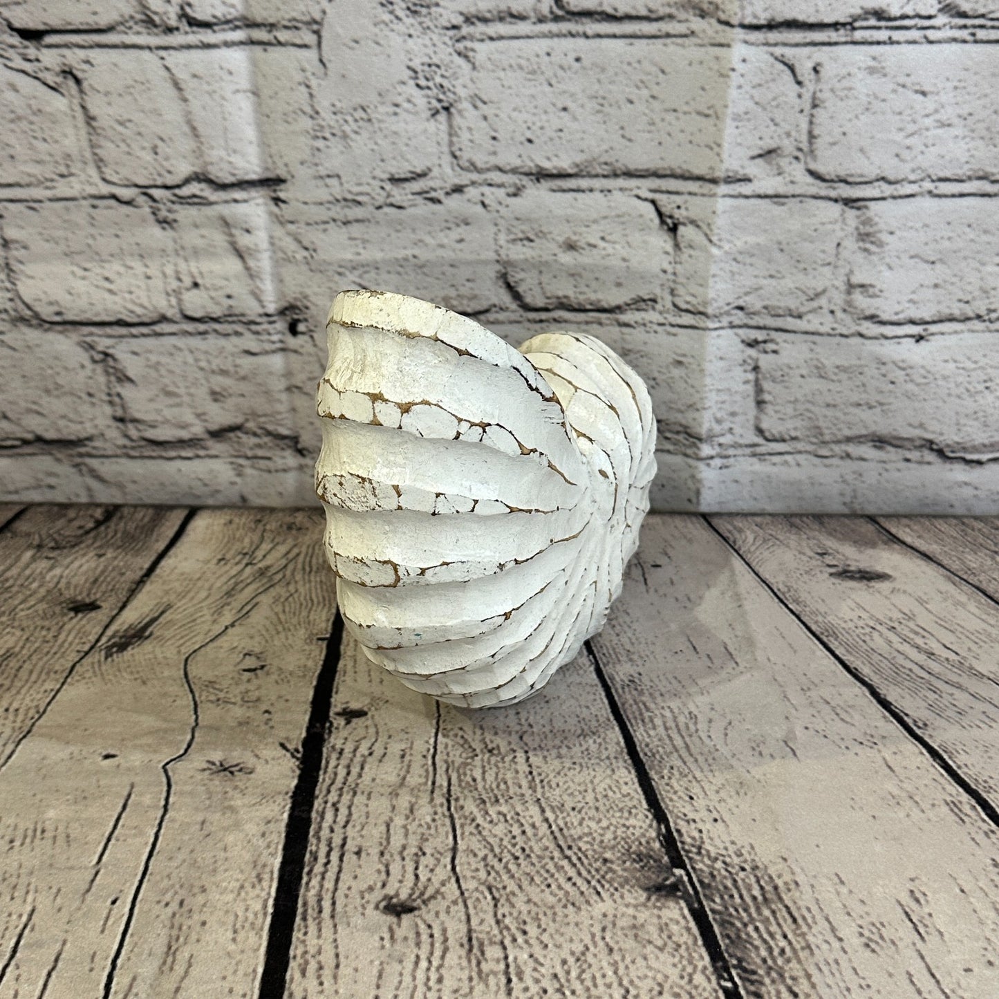 18cm White Polish Nautilus Shell Ornament Decor Carved Light Wood Parcel Figure