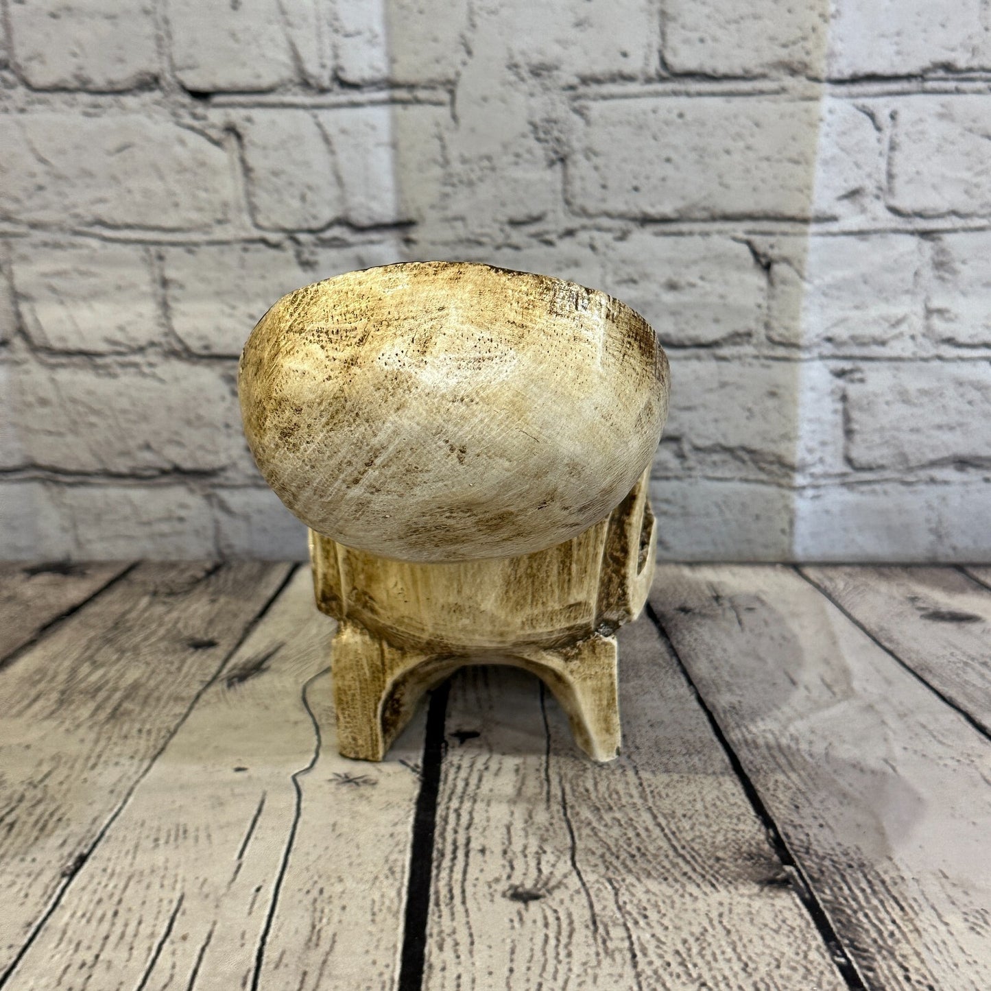 18cm x 12cm Shallow Wooden Gothic Skeleton Skull  Head Coffin Jewellery Box
