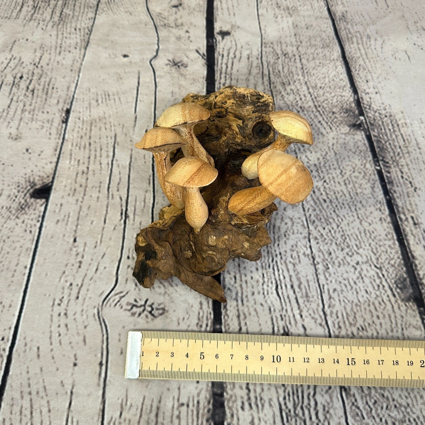 Button Mushrooms Wall Art Mushroom Parasite Wood Ornament Natural Carving Wooden
