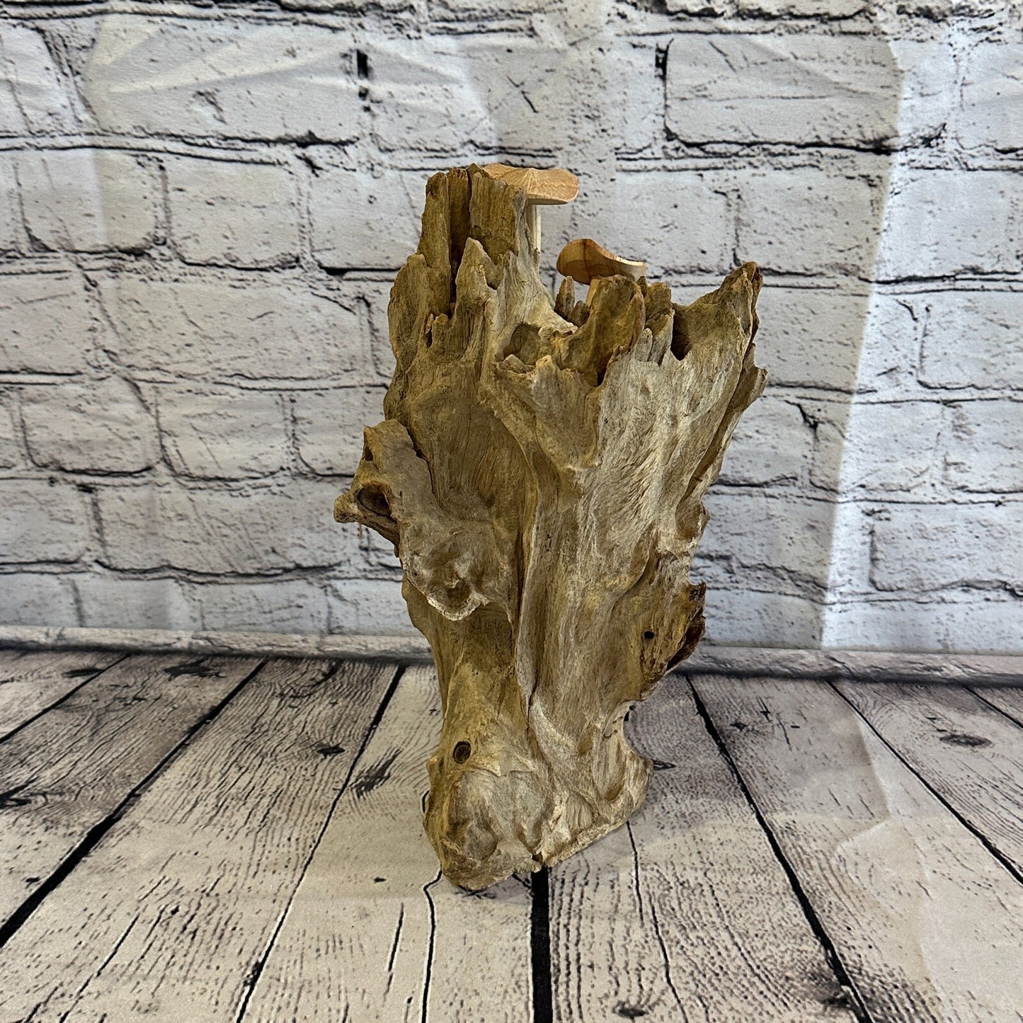 30cm Tall Mushrooms Cluster Parasite Ornament Natural Carving Fairtrade Wooden