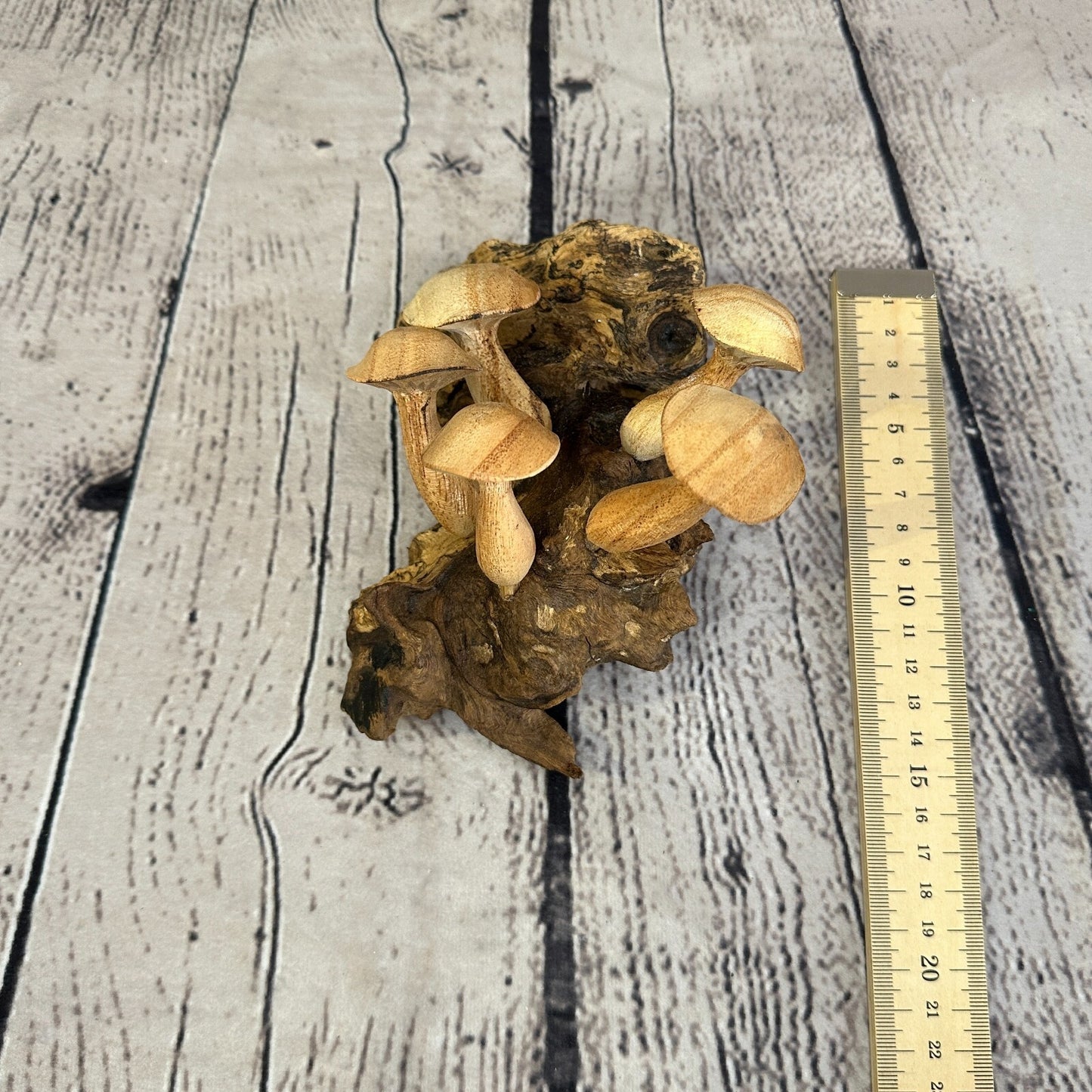 Button Mushrooms Wall Art Mushroom Parasite Wood Ornament Natural Carving Wooden