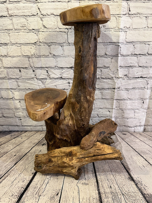60cm x 25cm Double Teak Root Wood Mushroom Coffee Table Side Home Furniture