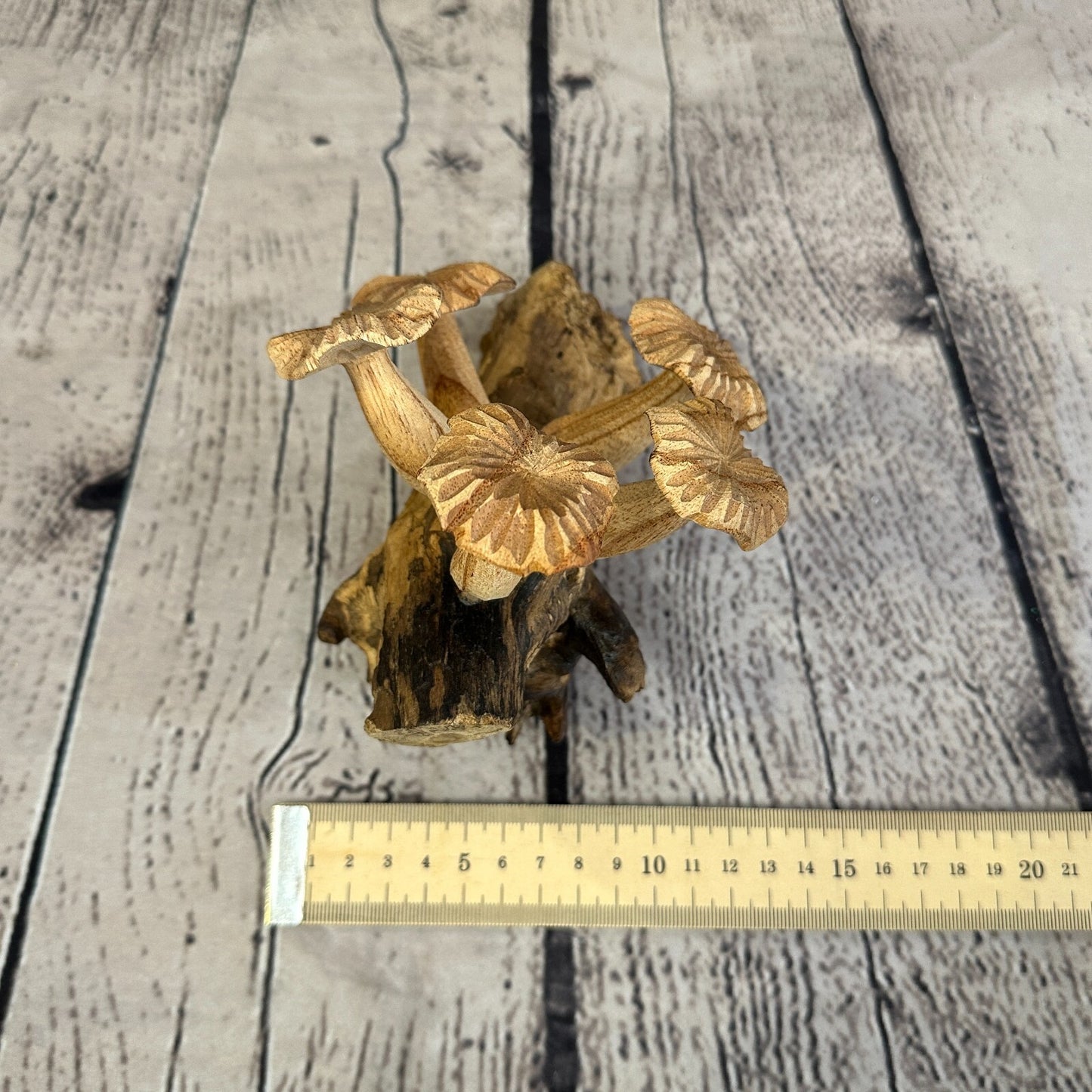 Carved Mushrooms Wall Art Mushroom Parasite Wood Ornament Natural Carving Wooden