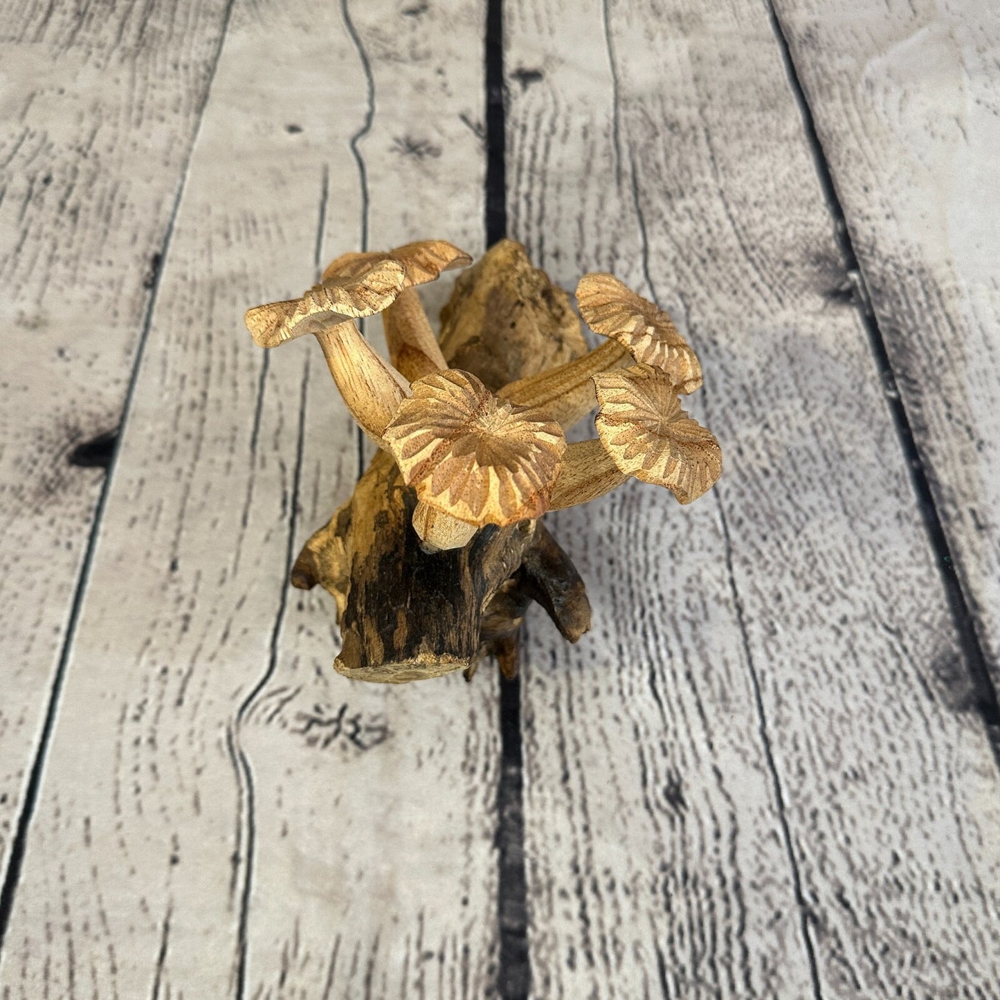 Carved Mushrooms Wall Art Mushroom Parasite Wood Ornament Natural Carving Wooden